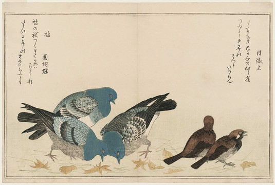 喜多川歌麿藍色的麻雀