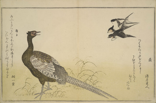 喜多川歌麿鸟和孔雀
