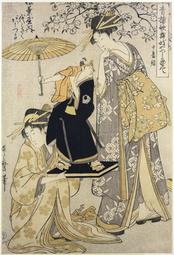 喜多川歌麿享受櫻花
