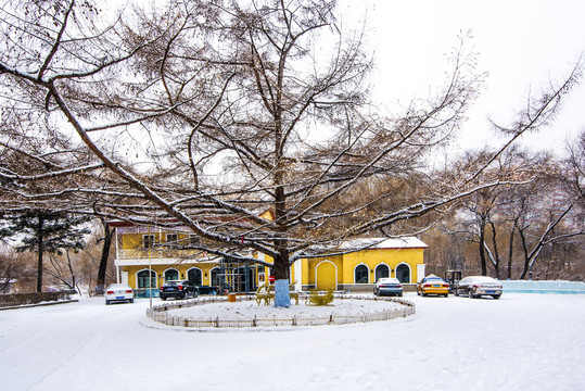 雪景