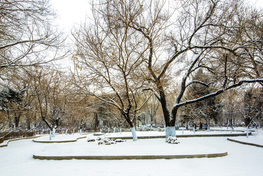 雪景