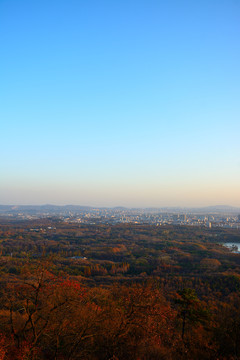 紫金山远眺