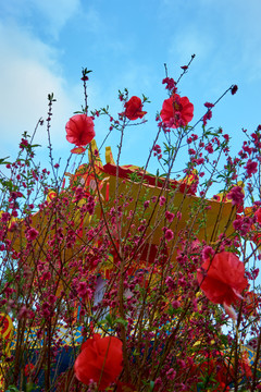 桃花装饰