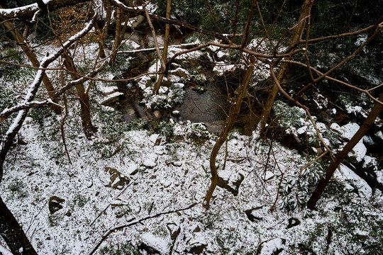 草地积雪