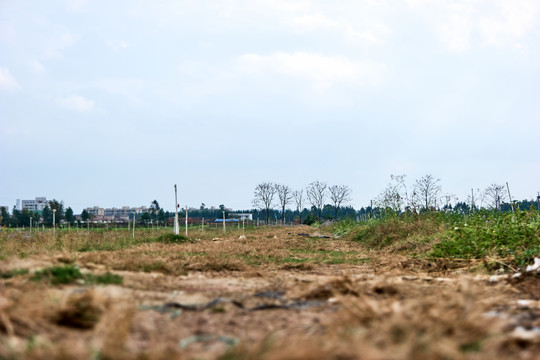 乡村道路