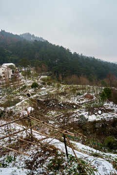 山村雪景