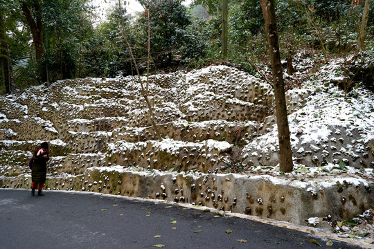 衡山雪景