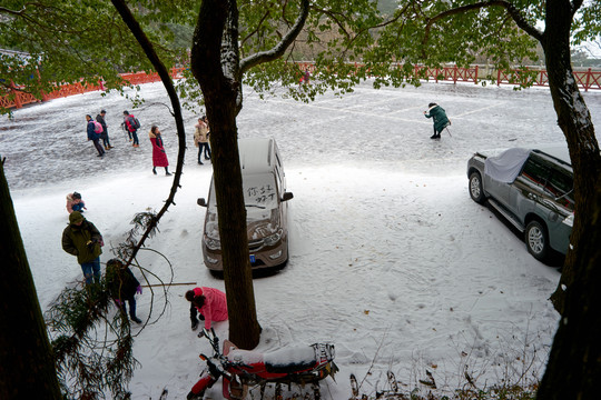 雪地停车场