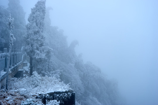 雪景