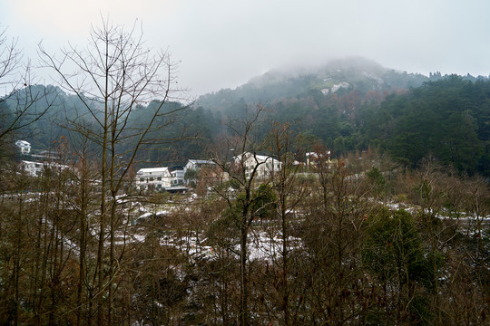 雪景