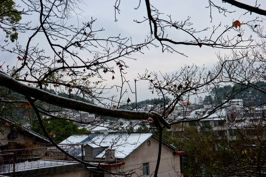 雪景