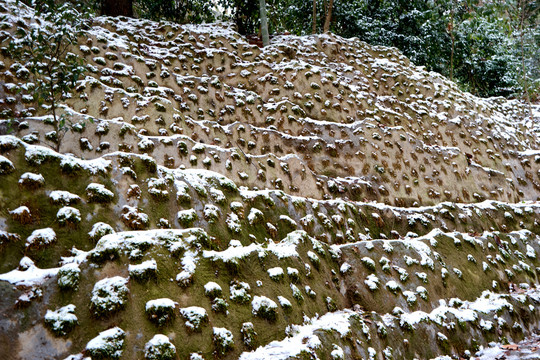 积雪