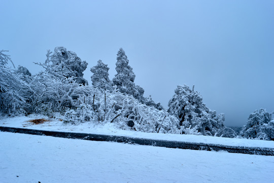 积雪雪景