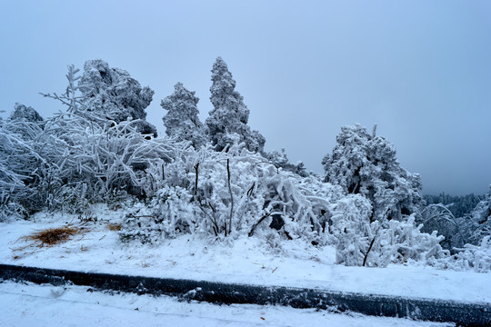 积雪雪景