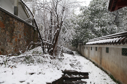 故园春雪4