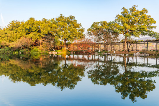 杭州西湖花港观鱼园林景观秋景