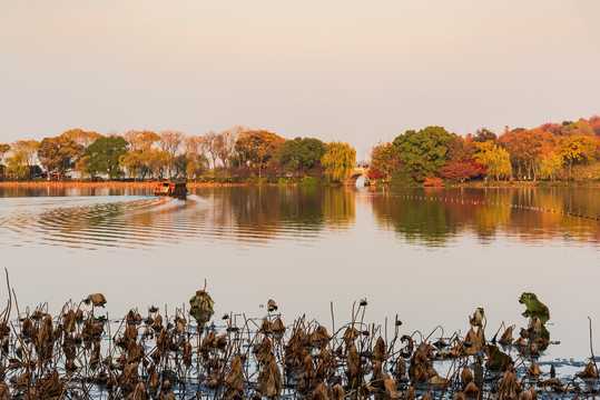 杭州西湖苏堤秋景