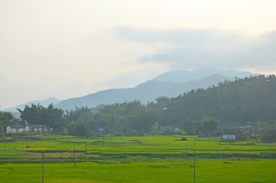 广东农村