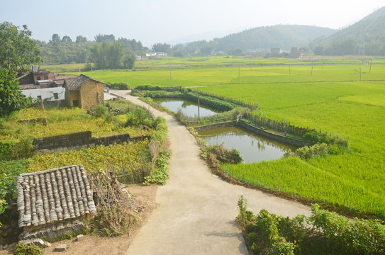 乡村道路