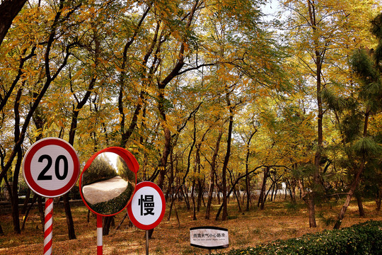 雨雪天气慢行