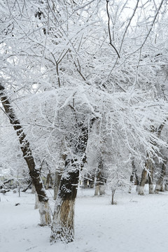 雪凇