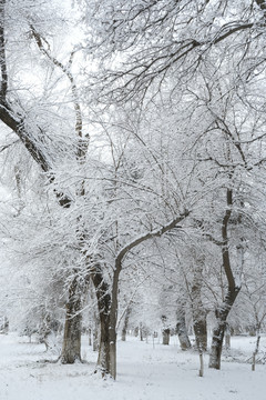 雪凇