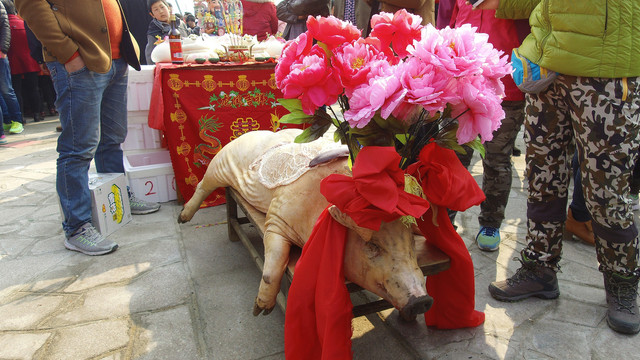 祭海供猪