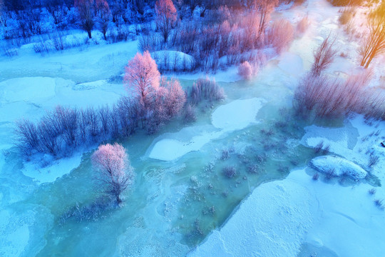 雪域冰封河流树林朝阳