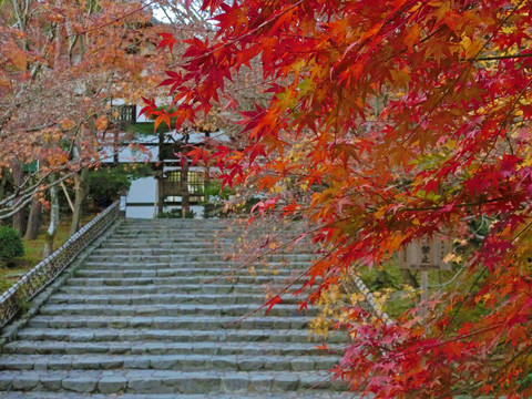 日本京都大云山龙安寺