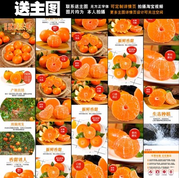 武鳴沃柑
