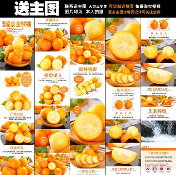 金錢橘