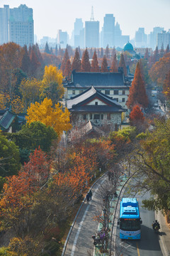 深秋鸡鸣寺路