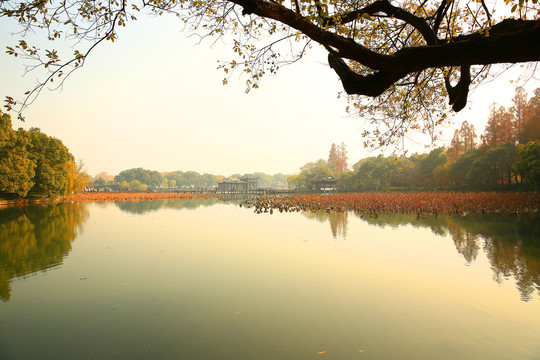 西湖秋景