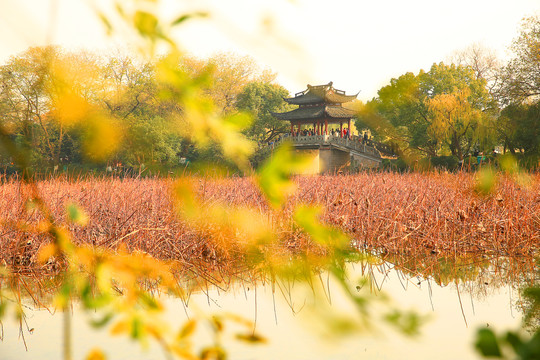 西湖秋景