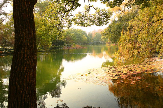 西湖秋景