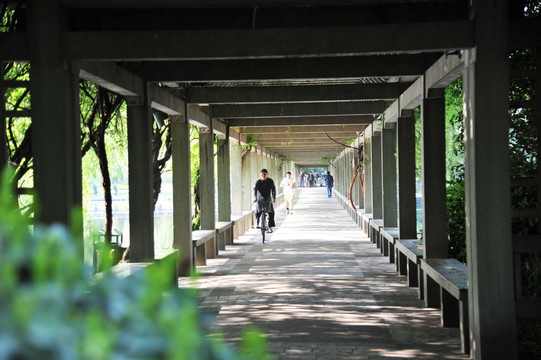 浙江大学华家池校区