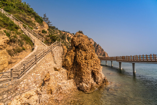 山东长岛峰山林海的风景