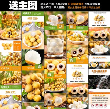 龍眼