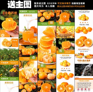 蘆柑