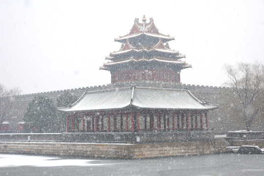 雪花飘扬中的故宫