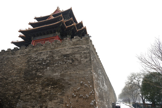 雪花飘扬中的故宫