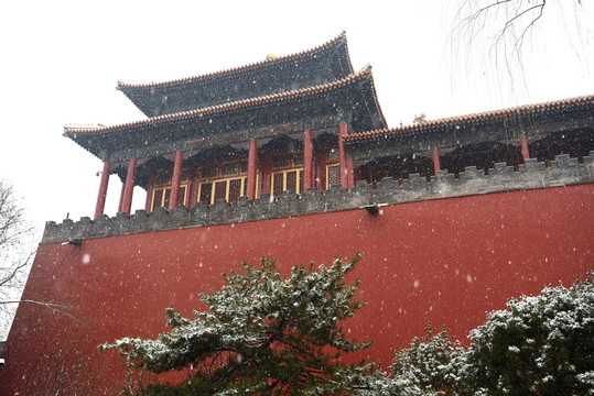 雪花飘扬中的故宫