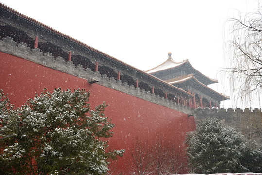 雪花飘扬中的故宫