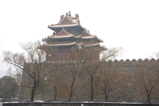 雪花飘飘中的故宫