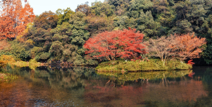 九溪烟树