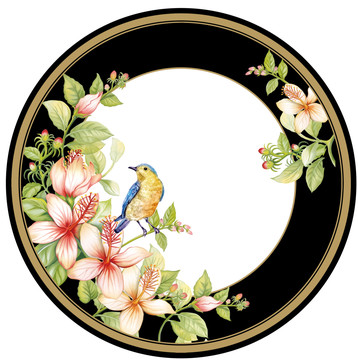 鳥碟