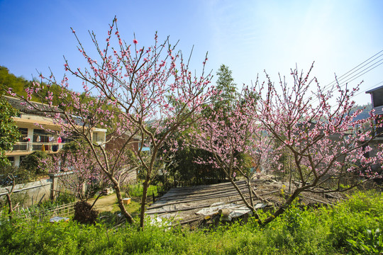 盖竹山风景区