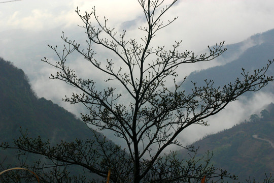 宁波余姚四明山风景