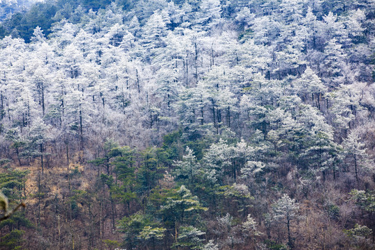 宁波余姚四明山清湖港湾美景