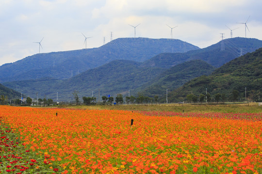 宁波北仑梅山保税区春晓街道